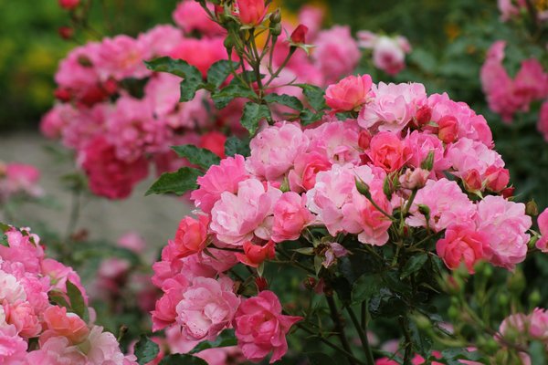 Step-by-Step Guide: How to Seamlessly Redirect Your Mail After Relocating in the UK